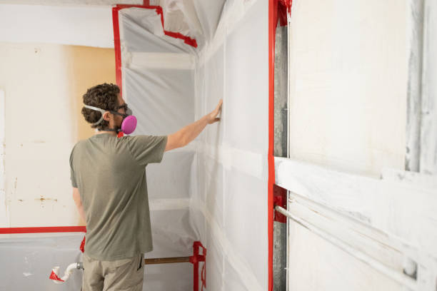 Mold Remediation for Vacation Homes in Lockport, IL